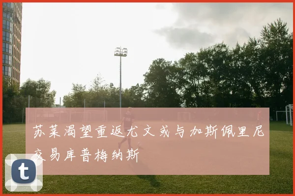 苏莱渴望重返尤文或与加斯佩里尼交易库普梅纳斯